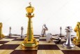 Шахматный турнир "Золотая ладья"