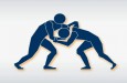 Спортивная борьба